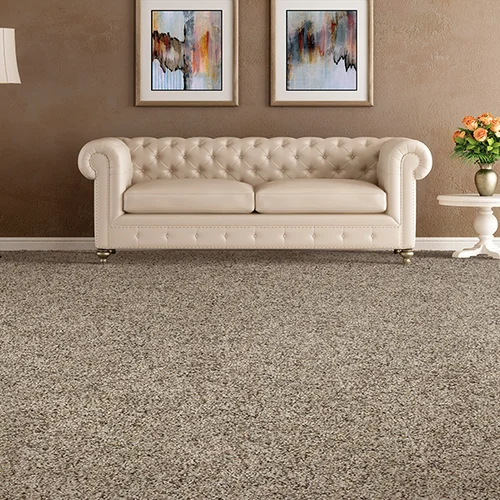 Express Flooring is providing stain-resistant pet proof carpet in Kelowna, BC